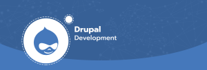 Drupal Migration Services
