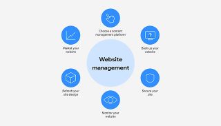 websites management